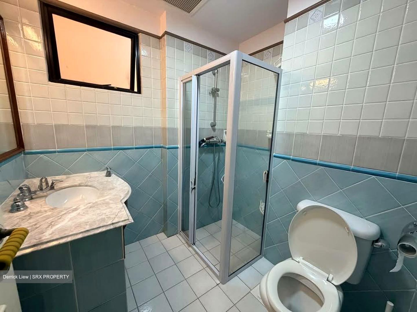 Dover Parkview (D5), Condominium #591441841
